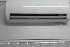 IMG-20210802-WA0003