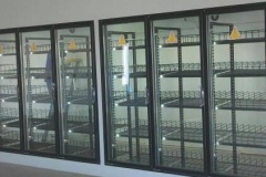 IMG-20210804-WA0003